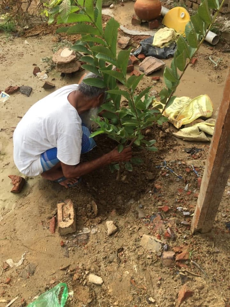 A tree plantation drive at the trust
